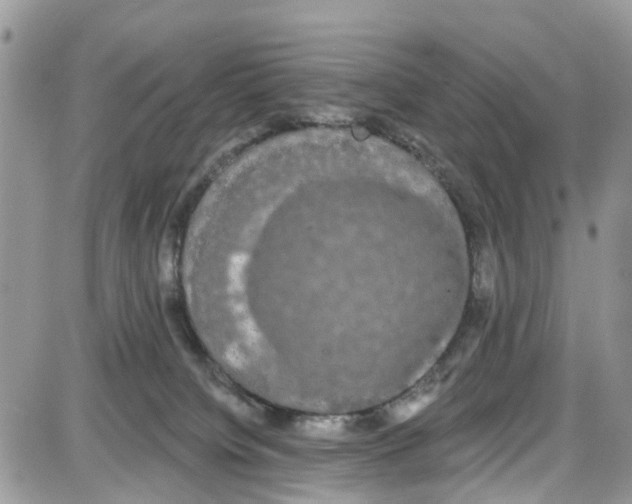 X0000087630084200705311339