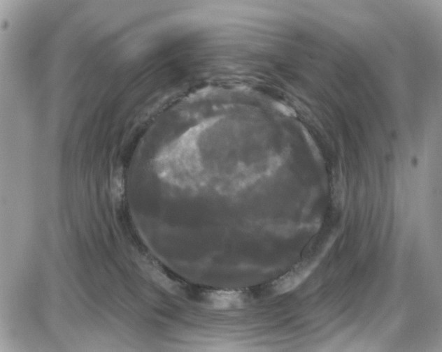 X0000087630085200705311339