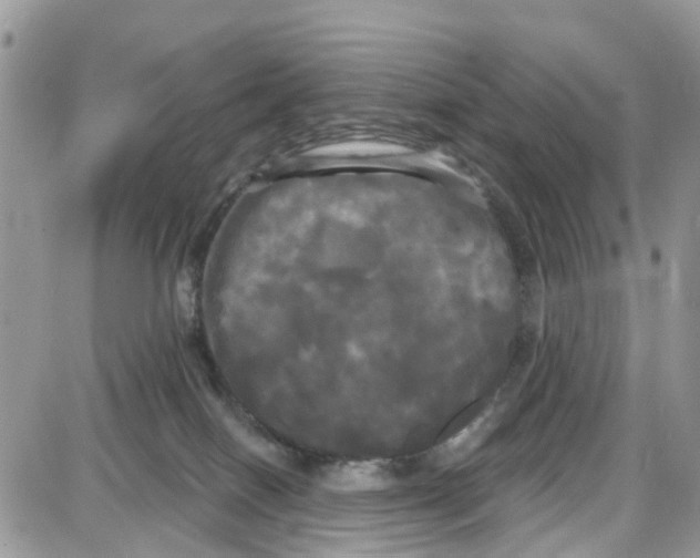 X0000087630086200705311339