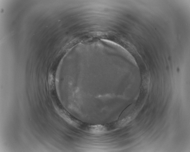 X0000087630087200705311339