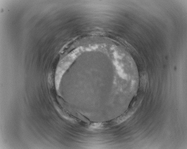 X0000087630088200705311339