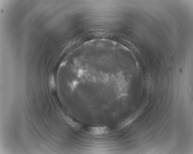 X0000087630089200705311339