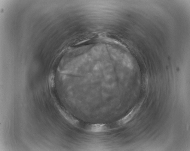 X0000087630090200705311339