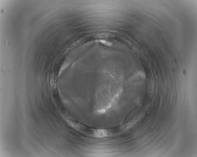 X0000087630091200705311339