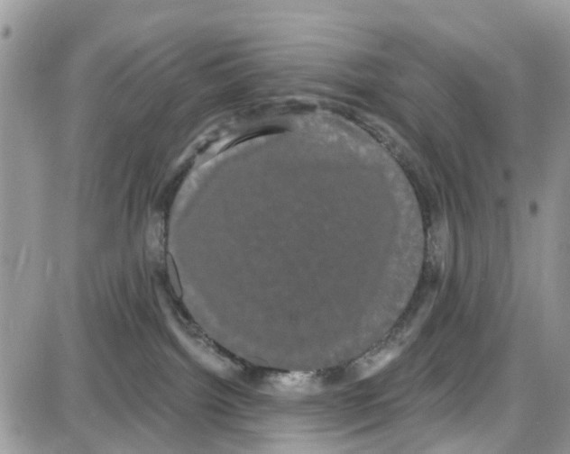 X0000087630092200705311339