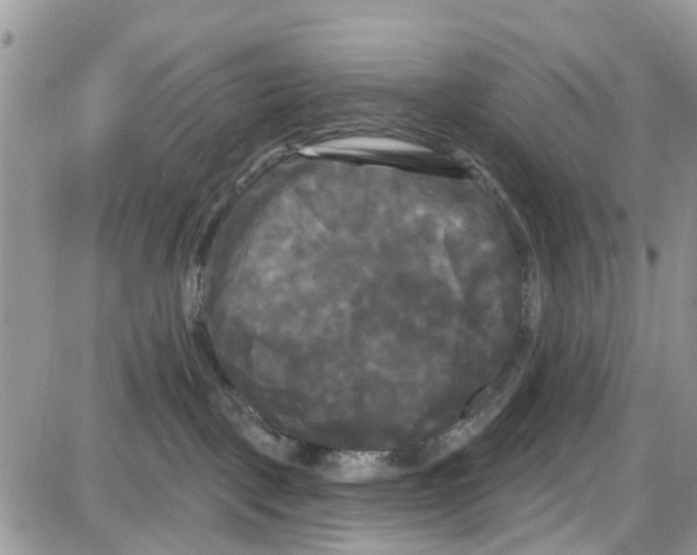 X0000087630093200705311339