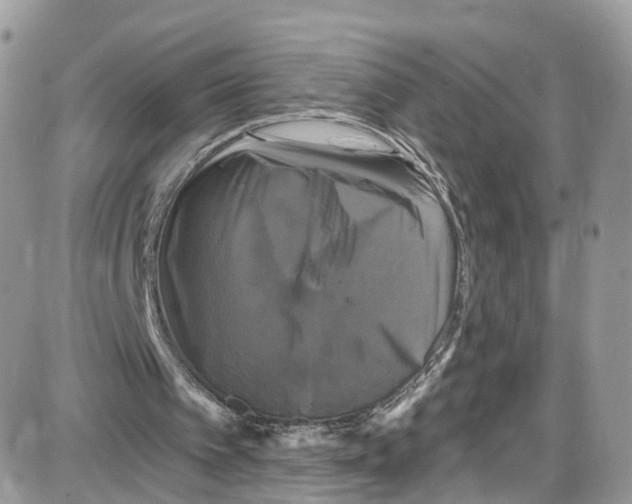 X0000087630097200705311339