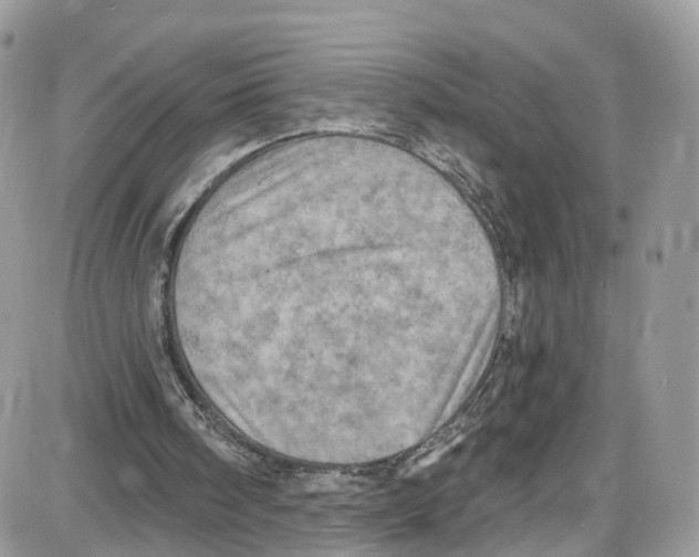 X0000087630098200705311338