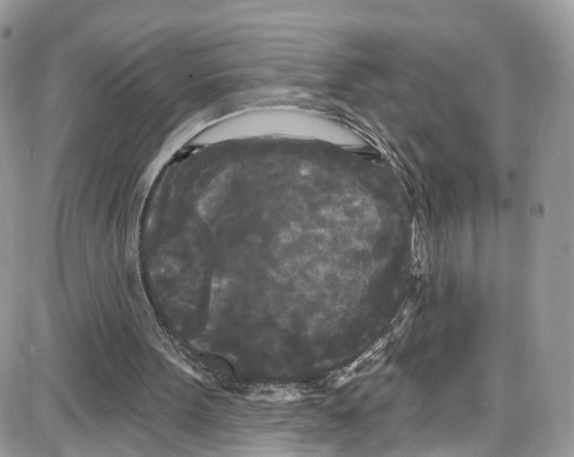 X0000087630099200705311338