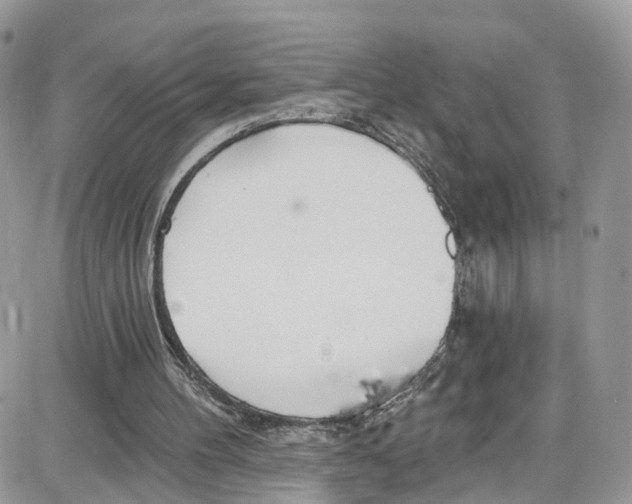 X0000087630100200705311338