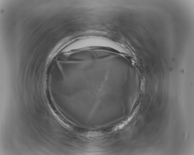 X0000087630101200705311338