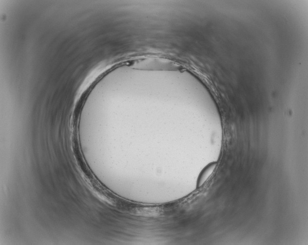 X0000087630102200705311338