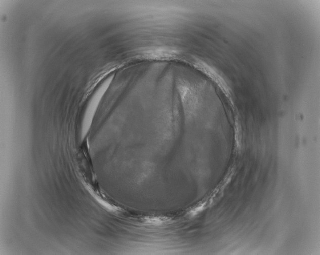 X0000087630105200705311338