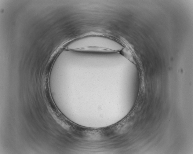 X0000087630106200705311338