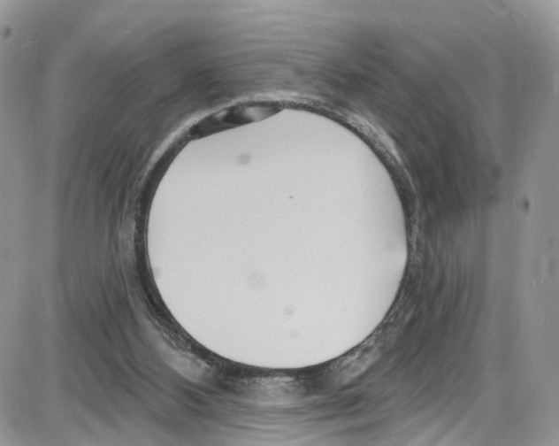 X0000087630108200705311338