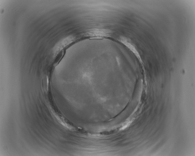 X0000087630109200705311338