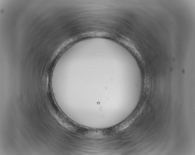 X0000087630110200705311338