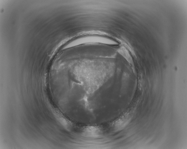 X0000087630111200705311338