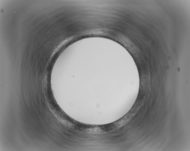 X0000087630112200705311338