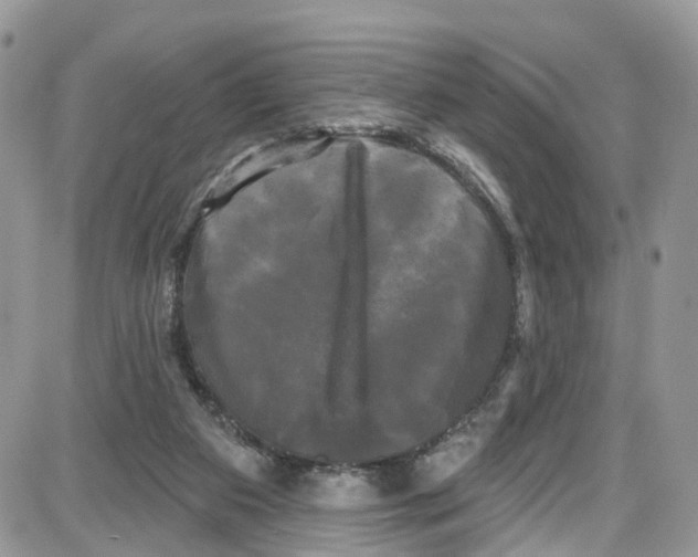 X0000087630113200705311338