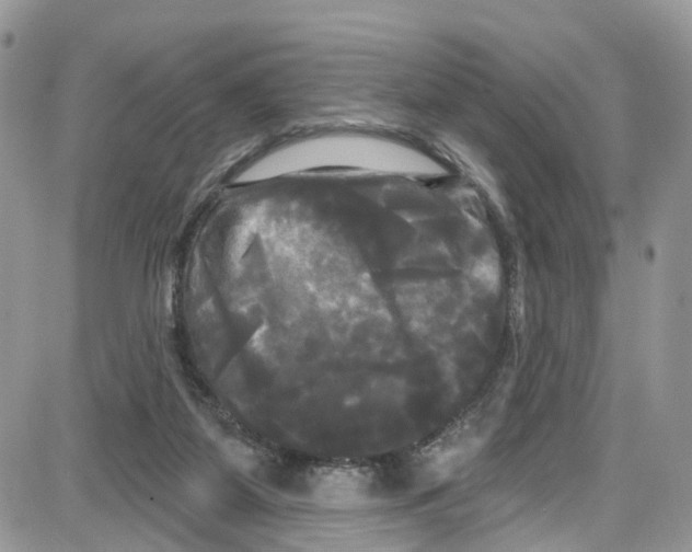 X0000087630115200705311338