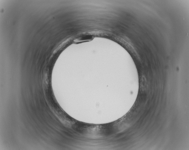 X0000087630116200705311338