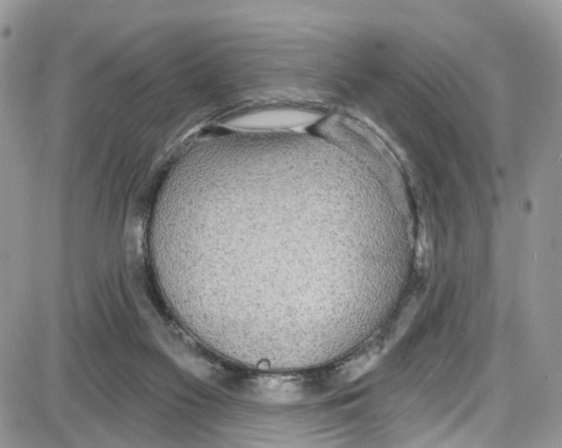 X0000087630117200705311338