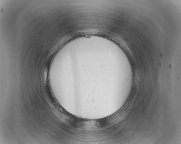 X0000087630118200705311338