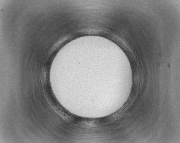 X0000087630120200705311338