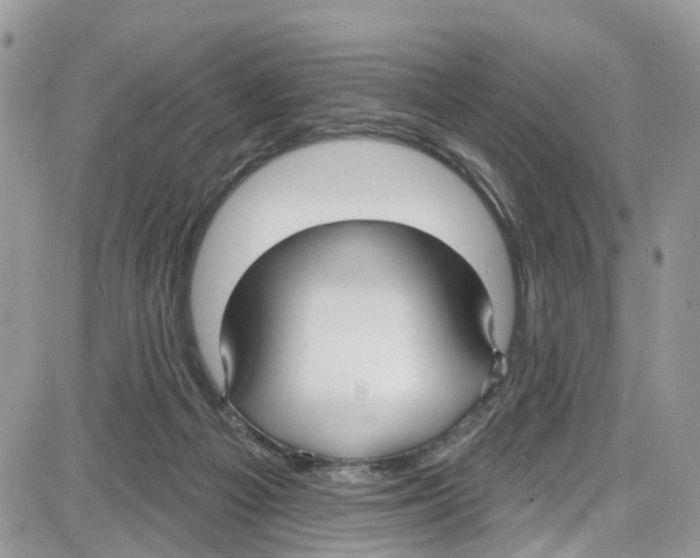 X0000087630121200705311338