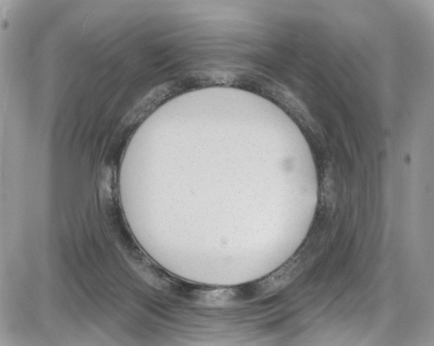 X0000087630122200705311338