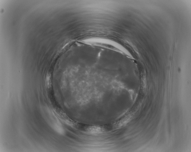 X0000087630123200705311338