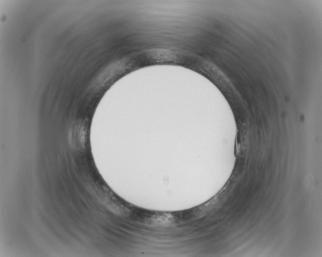 X0000087630124200705311338