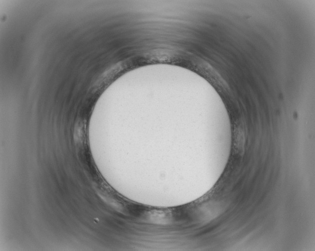 X0000087630126200705311338