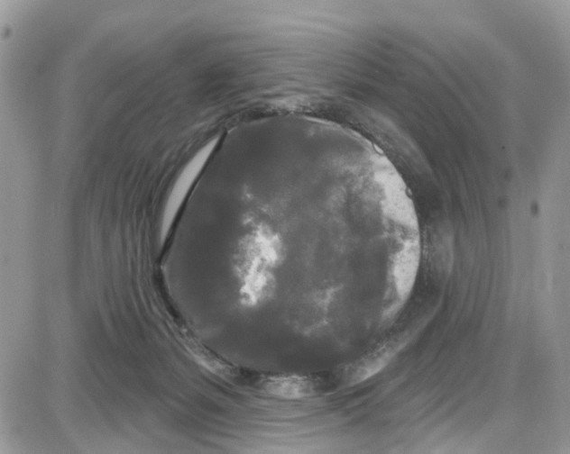 X0000087630127200705311338