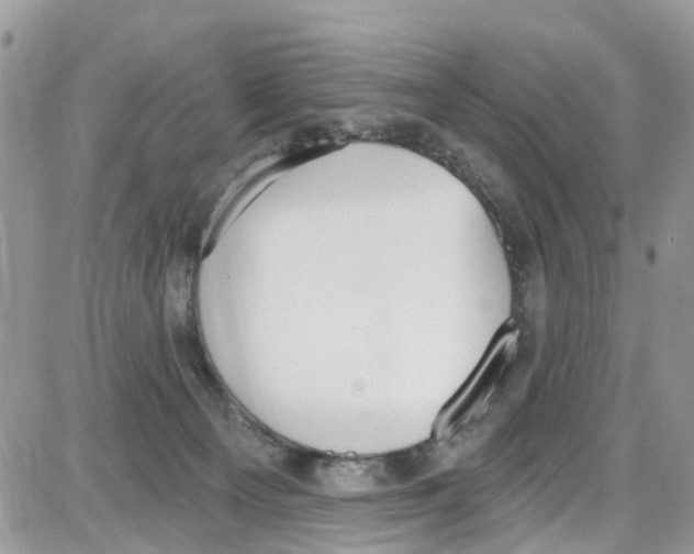 X0000087630129200705311338