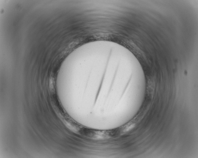 X0000087630130200705311338