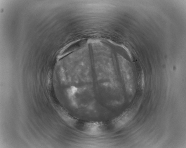 X0000087630131200705311338