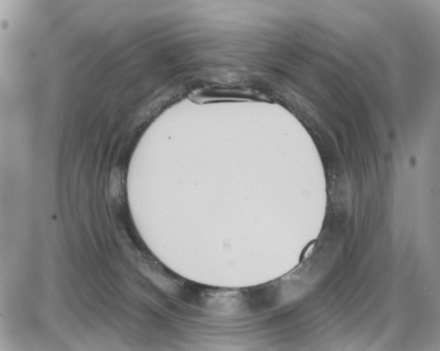 X0000087630132200705311338