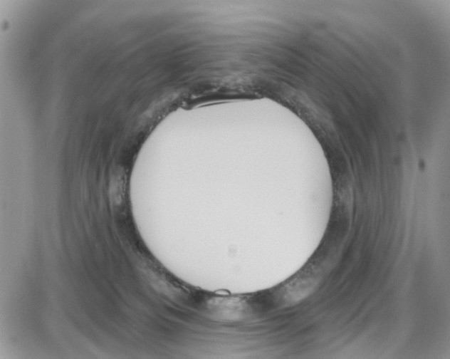 X0000087630133200705311338