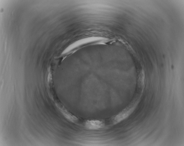 X0000087630137200705311338