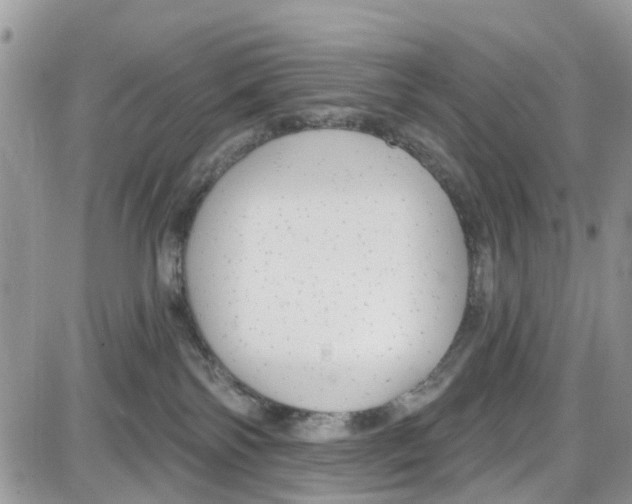 X0000087630138200705311338