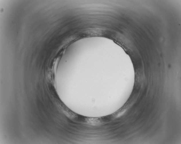 X0000087630141200705311338