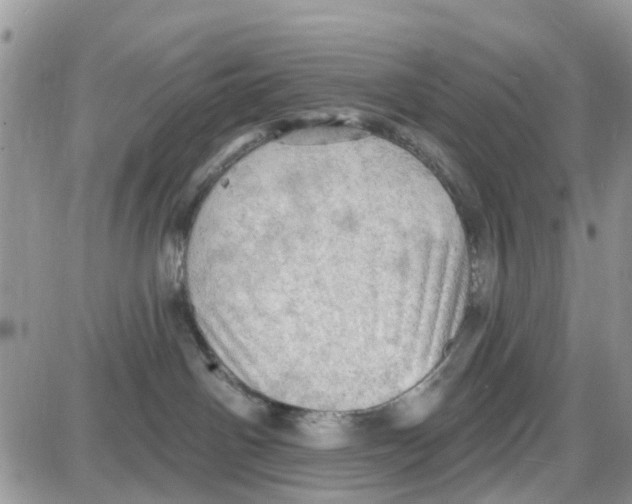 X0000087630142200705311338