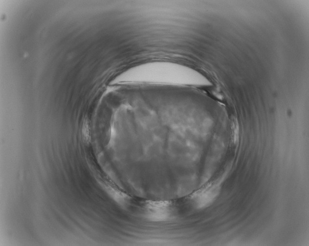 X0000087630143200705311338