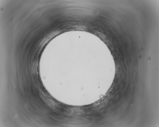 X0000087630146200705311337