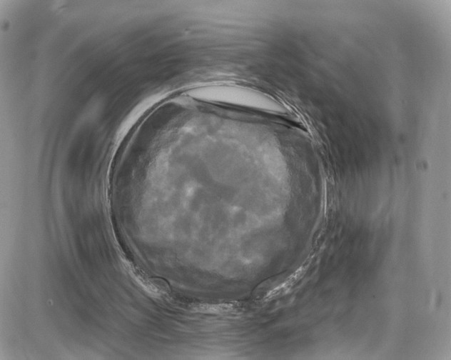 X0000087630147200705311337