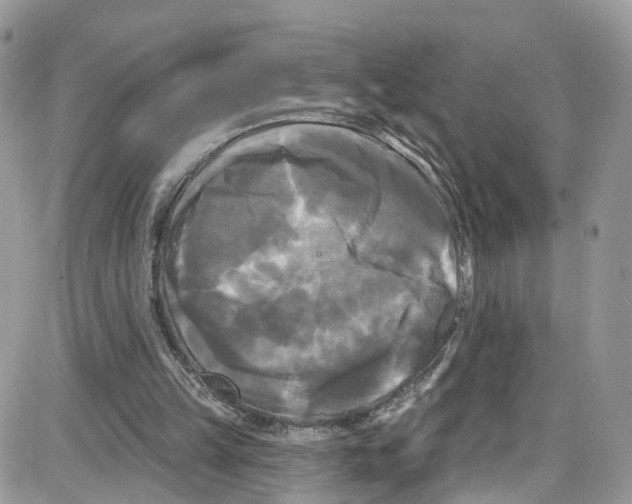 X0000087630149200705311337