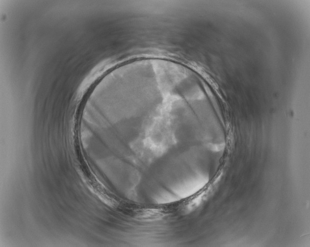 X0000087630151200705311337