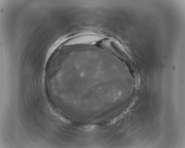 X0000087630152200705311337